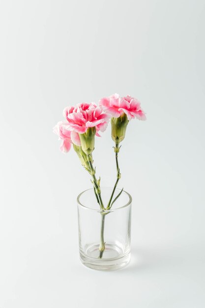 un vaso di vetro con dei fiori rosa dentro
