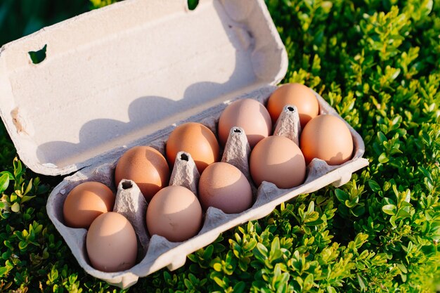 Un vassoio di uova di gallina sui prodotti agricoli naturali dell'erba