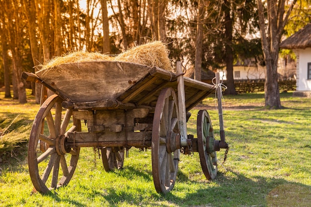 Un vecchio carro di legno, carico di paglia, sotto i raggi del sole al tramonto. Area rurale dell'entroterra ucraino.