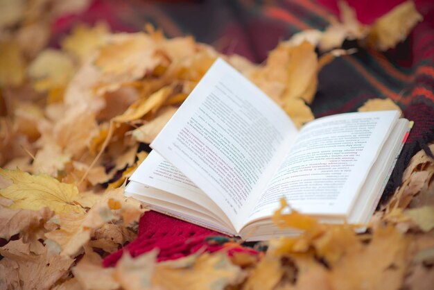 Un vecchio libro è sdraiato su una panchina con foglie cadute nel parco autunnale