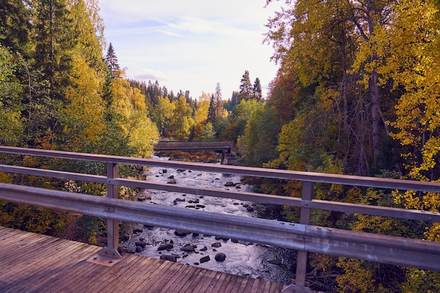 Un vecchio ponte di legno su un fiume di montagna veloce nella foresta autunnale