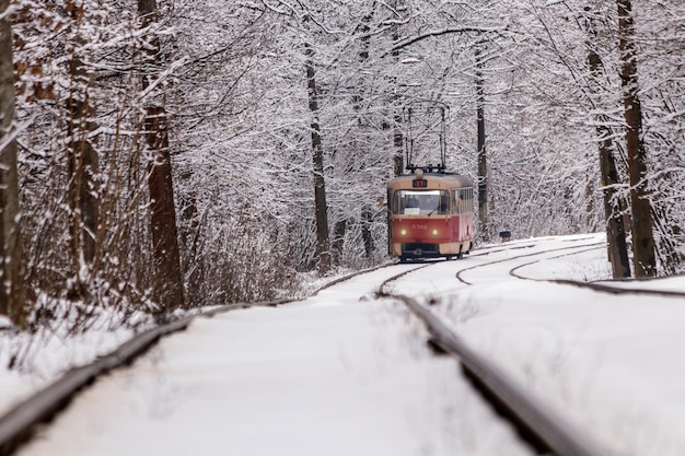 Un vecchio tram che si muove attraverso una foresta d'inverno