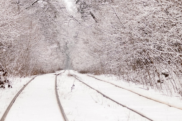 Un vecchio tram che si muove attraverso una foresta d'inverno