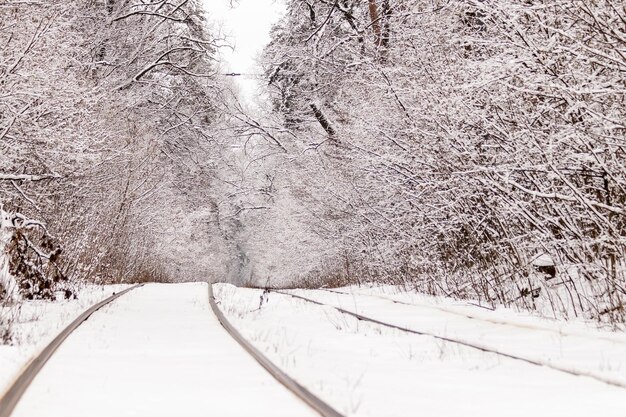 Un vecchio tram che si muove attraverso una foresta d'inverno