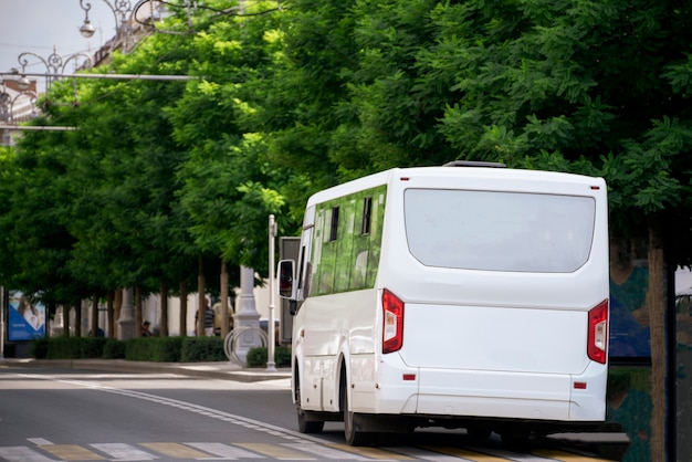 Un veicolo di trasporto pubblico, autobus urbano su strada