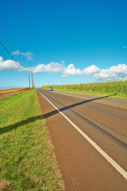 Un veicolo in lontananza che guida su una strada autostradale aperta che conduce attraverso fattorie agricole Paesaggio di campo di piantagione di ananas in crescita con nuvole di cielo blu e spazio di copia a Oahu Hawaii USA