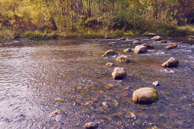 Un veloce fiume di montagna in montagna in autunno