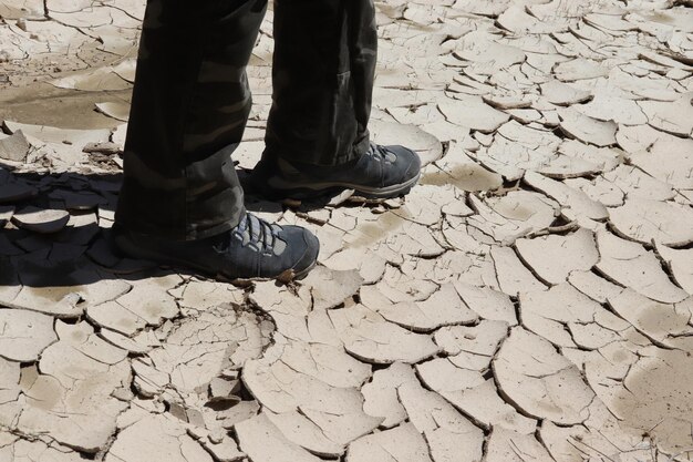 Un viaggiatore in piedi sulla terraferma