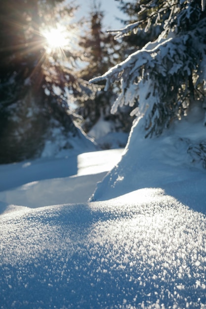 Un viaggio in montagna innevato