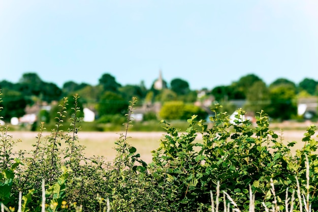 Un villaggio inglese visto da una siepe