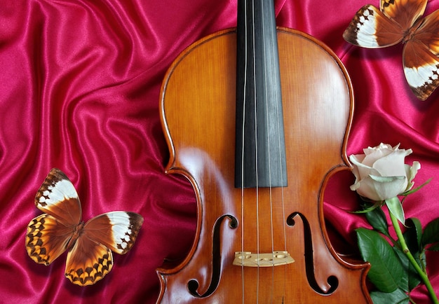 un violino con delle farfalle poggia su un panno rosso.