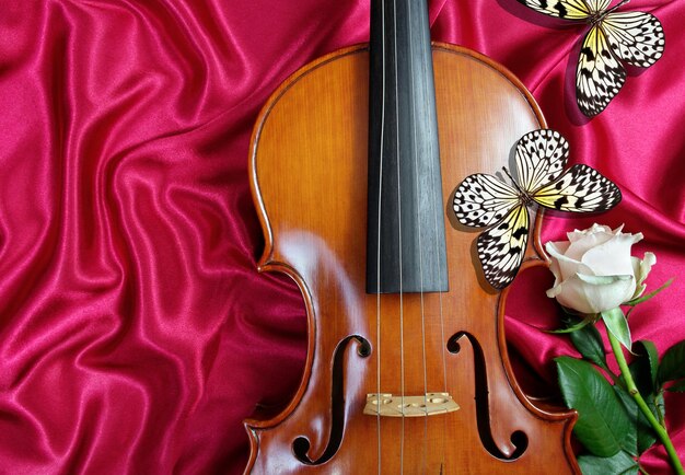 un violino con un panno rosso con su scritto "violino".