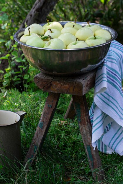 Una bacinella con acqua e mele sullo sfondo di un giardino estivo.