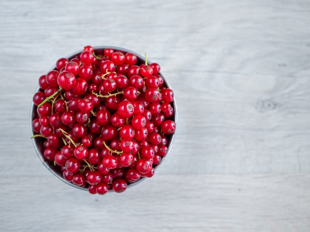 Una bacinella di metallo piena di ribes rosso