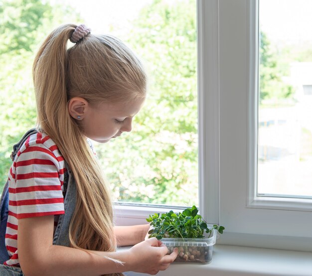 Una bambina alla finestra guarda come crescono i piselli microgreen