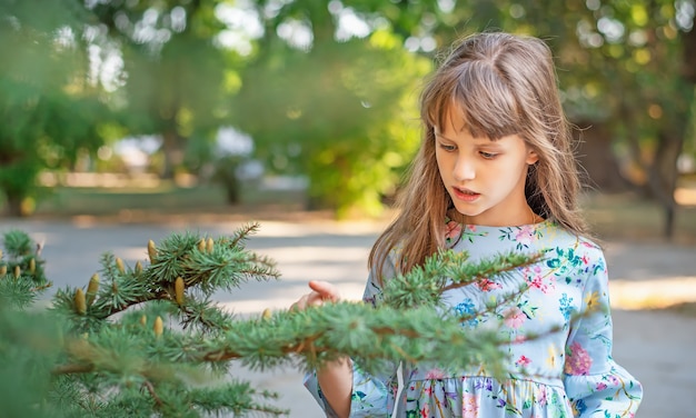 Una bambina carina guarda un ramo di conifere con coni nel parco.