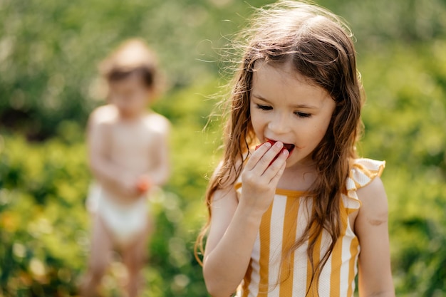 Una bambina che indossa un solo pannolino assaggia le dolci fragole mature nel giardino del villaggio