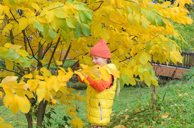 una bambina di cinque anni accanto a un albero giallo autunnale