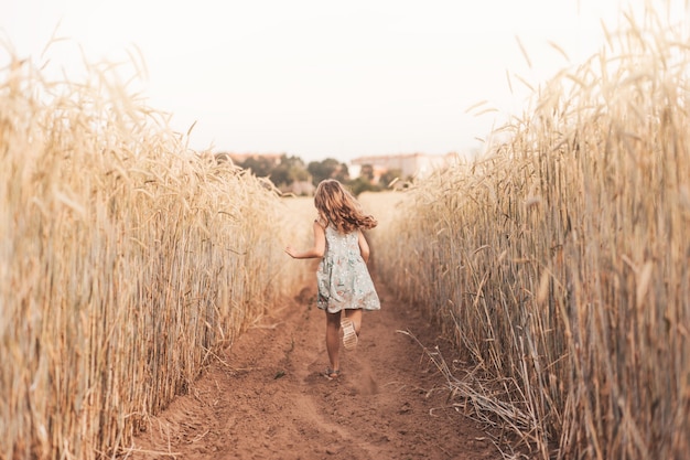 Una bambina felice corre attraverso un campo di grano in estate in una giornata di sole. Estate. Vacanze estive. Infanzia felice. Emozioni ed energia positive