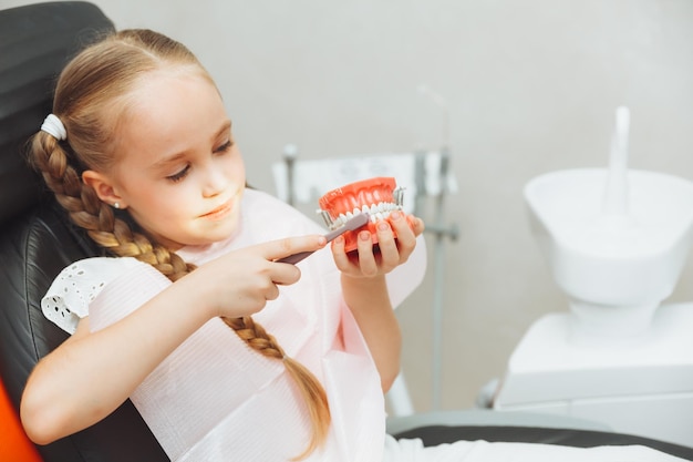 Una bambina felice sta studiando l'anatomia dei denti umani tenendo un modello di denti nelle sue mani nella protesi dentale dell'ufficio del dentista