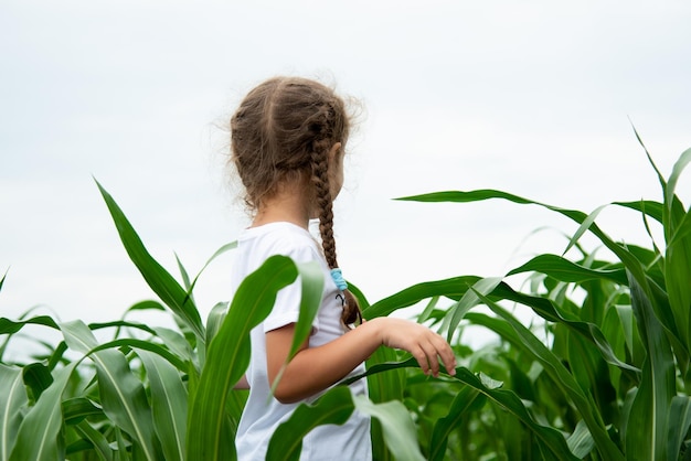 Una bambina in un campo di grano La natura