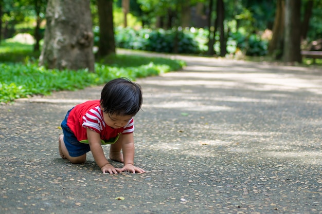 Una bambina inizia a camminare per prima nel parco