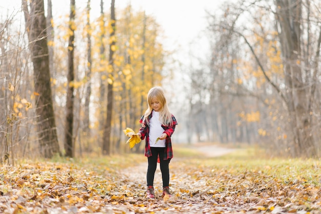 Una bambina raccoglie le foglie cadute in autunno in un bouquet