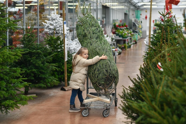 Una bambina sceglie un albero di Natale al mercato.
