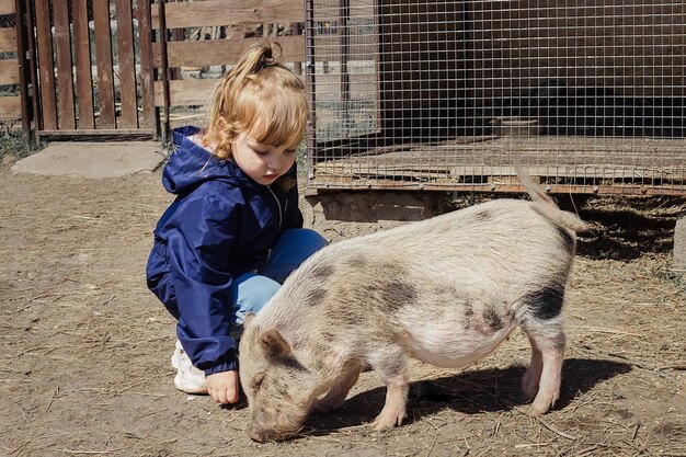 una bambina si prende cura degli animali domestici, nutre un maiale nel cortile