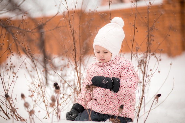 Una bambina si siede nella neve e in guanti raccoglie piante essiccate in una soleggiata giornata invernale