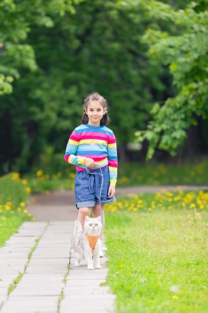 Una bambina sorridente cammina un adorabile gatto britannico bianco vestito con un'imbracatura arancione nel parco i