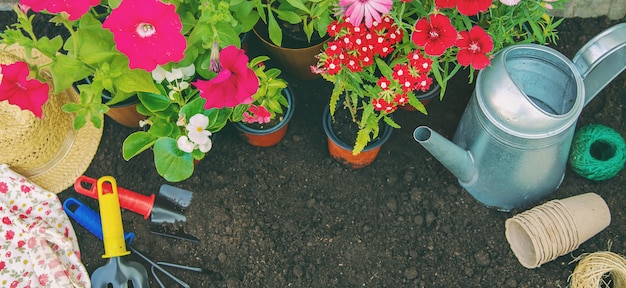 Una bambina sta piantando fiori.