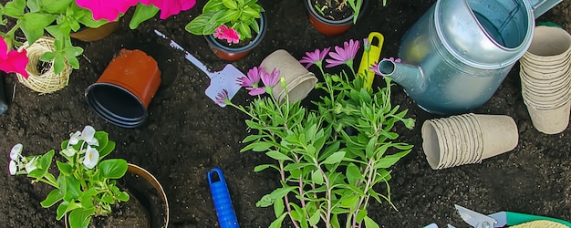 Una bambina sta piantando fiori.