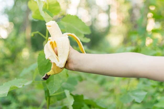 Una banana in mano a un bambino all'aperto