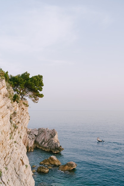 Una barca da pesca sull'acqua vicino a un'alta roccia con un albero che cresce sul pendio