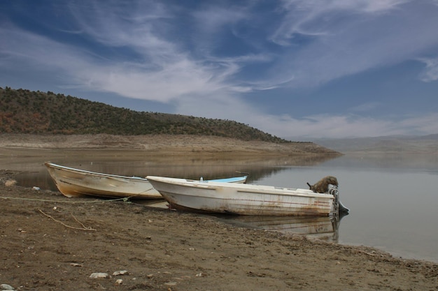 Una barca è sulla riva di un lago.