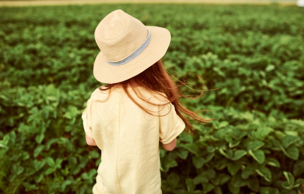 Una bella bambina nel campo verde raccoglie e mangia fragole divertendosi