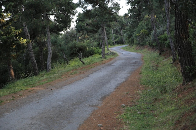 Una bella e caratteristica strada con bella