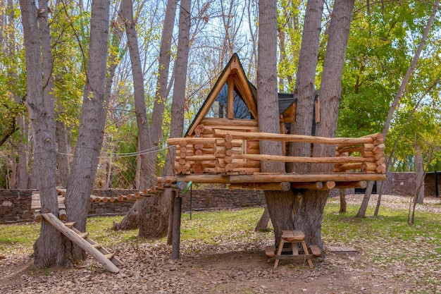 Una bella foto di una casa sull'albero in mezzo alla foresta di giorno