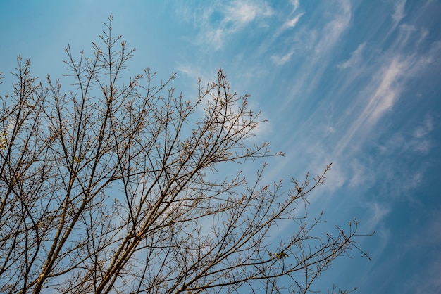 Una bella giornata di primavera