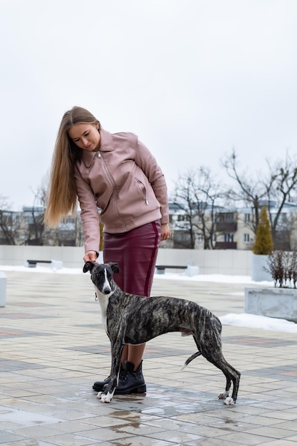 una bella ragazza bionda è seduta impegnata ad addestrare un cane whippet per strada in città