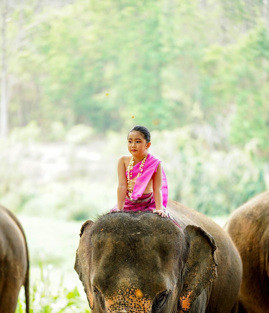 Una bella ragazzina thailandese con un abito tradizionale del nord della Thailandia che recita e cavalca il collo di un elefante per un servizio fotografico su uno sfondo sfocato