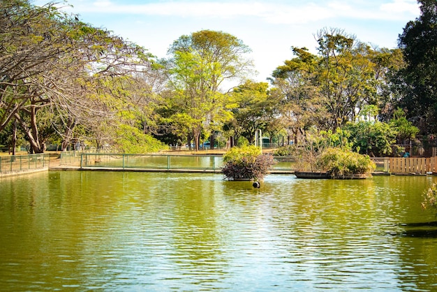 Una bella vista degli animali nello zoo Brasile di Brasilia