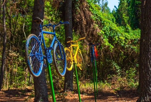 Una bella vista del Giardino Botanico situato a Brasilia, Brasile