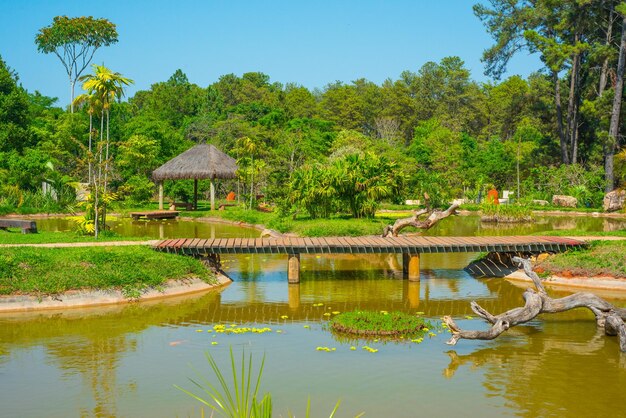 Una bella vista del Giardino Botanico situato a Brasilia, Brasile