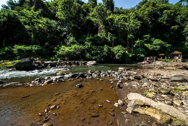 Una bella vista della cascata a Bali Indonesia