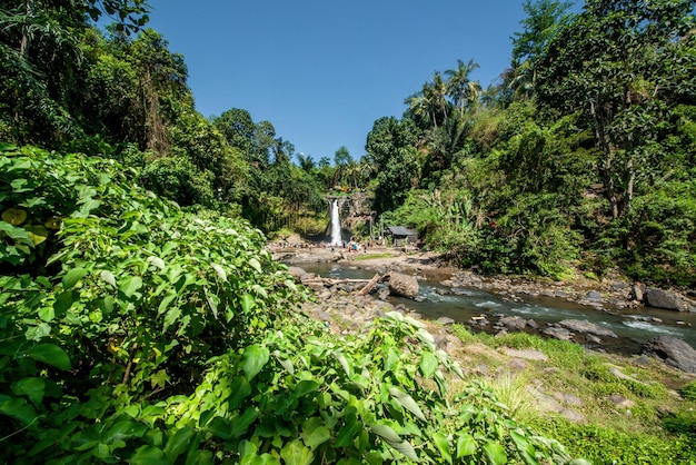 Una bella vista della cascata di Tegenungan a Bali Indonesia