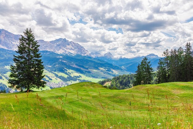 Una bella vista di un prato alpino appena tagliato.