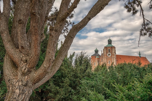 Una bella vista estiva in un parco in germania a Ingolstadt