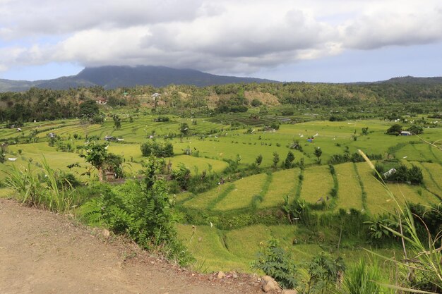 Una bella vista panoramica di bali indonesia